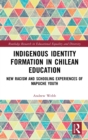 Image for Indigenous Identity Formation in Chilean Education