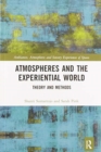 Image for Atmospheres and the Experiential World