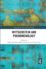Image for Wittgenstein and Phenomenology