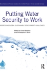 Image for Putting Water Security to Work