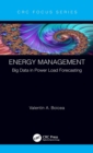 Image for Energy management  : big data in power load forecasting