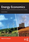 Image for Energy economics