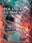 Image for Polymer Glasses