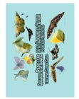 Image for Quelques Papillons de Lomagne en Occitanie pour Artistes