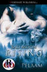 Image for Bad Moon Rising
