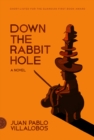 Image for Down the Rabbit Hole : A Novel