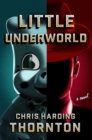 Image for Little underworld  : a novel