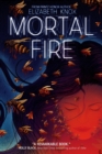 Image for Mortal Fire