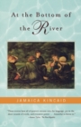 Image for At the Bottom of the River