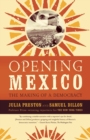 Image for Opening Mexico : The Making of a Democracy