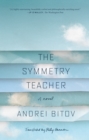Image for The Symmetry Teacher : A Novel