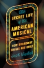 Image for The Secret Life of the American Musical
