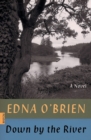 Image for Down by the River : A Novel