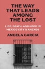 Image for The way that leads among the lost  : life, death, and hope in Mexico City&#39;s anexos