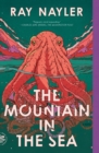 Image for Mountain in the Sea: A Novel