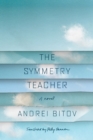 Image for The symmetry teacher: a novel