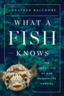 Image for What a Fish Knows: The Inner Lives of Our Underwater Cousins