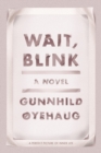 Image for Wait, Blink: A Perfect Picture of Inner Life: A Novel