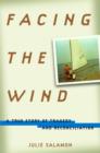 Image for Facing the Wind: A True Story of Tragedy and Reconciliation