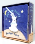 Image for Sleepy Bunny (Pat the Bunny) Cloth Book