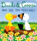 Image for Duck &amp; Goose, How Are You Feeling?