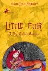 Image for Little Fur #2: A Fox Called Sorrow