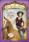 Image for The Fairy Godmother Academy #3: Zally&#39;s Book