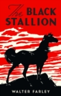 Image for The Black Stallion