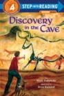 Image for Discovery in the Cave