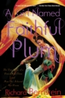 Image for A Girl Named Faithful Plum : The True Story of a Dancer from China and How She Achieved Her Dream