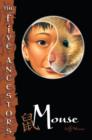 Image for Mouse : bk. 6