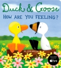 Image for Duck &amp; Goose, How Are You Feeling?
