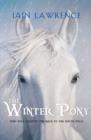 Image for The winter pony