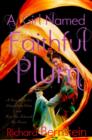 Image for Girl Named Faithful Plum: The True Story of a Dancer from China and How She Achieved Her Dream