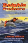 Image for Dolphin Treasure