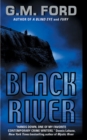Image for Black River : A Novel