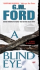 Image for A Blind Eye : A Novel