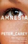 Image for Amnesia: A novel