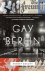 Image for Gay Berlin: Birthplace of a Modern Identity