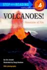 Image for Volcanoes: mountains of fire.