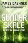 Image for Gunner Skale: An Eye of Minds Story (The Mortality Doctrine)