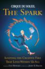 Image for The spark  : igniting the creative fire that lives within us all