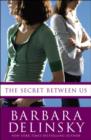 Image for The secret between us