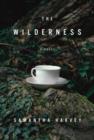 Image for The wilderness