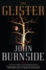 Image for Glister