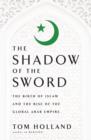 Image for In the shadow of the sword: the battle for global empire and the end of the ancient world