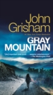 Image for Gray Mountain: A Novel