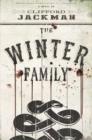 Image for The Winter family: a novel