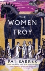 Image for The Women of Troy: A Novel