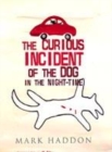 Image for The Curious Incident of the Dog in the Night-time